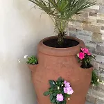 Suartello Vecchio Avec Piscine Privee * פורטו-וישיו